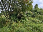 Vilniaus rajone Pabražuolės kaime parduodamas - nuotraukos Nr. 17