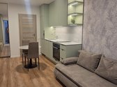 Išnuomojamas naujai įrengtas 1 kambario butas - nuotraukos Nr. 28