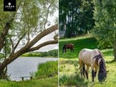 Parduodami Daugiabučių Paskirties Žemės - nuotraukos Nr. 2