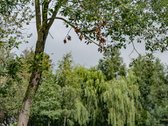 Parduodami Daugiabučių Paskirties Žemės - nuotraukos Nr. 13