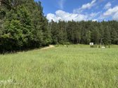Sklypai Trakų R., Vilkokšnio Kaime - nuotraukos Nr. 5