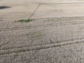 Parduodamas žemės ūkio paskirties sklypas. - nuotraukos Nr. 5