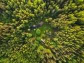 Nuostabaus grožio sodyba su tvenkiniu - nuotraukos Nr. 15