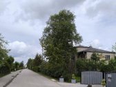 Šakių r. Gelgaudiškyje, Atžalyno g. 19, - nuotraukos Nr. 5
