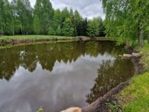 Parduodama sodyba Dzūkijos širdyje su 20,1 ha - nuotraukos Nr. 4