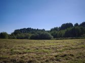Parduodamas namų valdos sklypas ieškantiems - nuotraukos Nr. 7