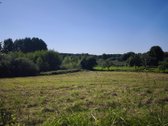 Parduodamas namų valdos sklypas ieškantiems - nuotraukos Nr. 12