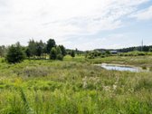 Išnuomojamas Nuostabus Butas Palangoje, Vėžių G.! - nuotraukos Nr. 15