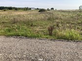 Parduodamas 0,5353 ha dydžio žemės sklypas. - nuotraukos Nr. 12