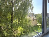 Nuomojamas Tvarkingas, Prieš Metus - nuotraukos Nr. 18