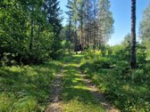 Vilniaus rajone, šalia Arvydų, parduodama - nuotraukos Nr. 5