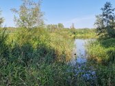 Vilniaus rajone, šalia Arvydų, parduodama - nuotraukos Nr. 7