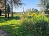Vilniaus rajone, šalia Arvydų, parduodama - nuotraukos Nr. 8