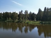 Vilniaus rajone, šalia Arvydų, parduodama - nuotraukos Nr. 9