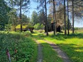 Vilniaus rajone, šalia Arvydų, parduodama - nuotraukos Nr. 11