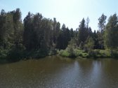 Vilniaus rajone, šalia Arvydų, parduodama - nuotraukos Nr. 24