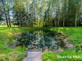 Išskirtinėje Vietoje, Gamtos Apsuptyje, Net - nuotraukos Nr. 33