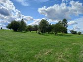 Parduodama sodyba Lazdijų r. sav., Veisiejų - nuotraukos Nr. 11