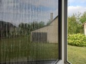 Parduodama sodyba Lazdijų r. sav., Veisiejų - nuotraukos Nr. 19