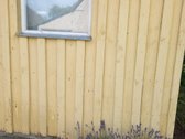 Parduodama sodyba Lazdijų r. sav., Veisiejų - nuotraukos Nr. 23