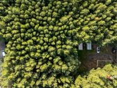 Išskirtinis 15 arų sklypas Palangoje su - nuotraukos Nr. 3