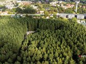 Išskirtinis 15 arų sklypas Palangoje su - nuotraukos Nr. 5