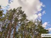 Parduodamas namas Aukštutiniuose Kaniūkuose, - nuotraukos Nr. 4