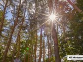 Parduodamas namas Aukštutiniuose Kaniūkuose, - nuotraukos Nr. 7