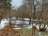 Sklypas besiribojantis su sodų bendrija. - nuotraukos Nr. 5
