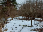 Sklypas besiribojantis su sodų bendrija. - nuotraukos Nr. 6