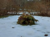 Sklypas besiribojantis su sodų bendrija. - nuotraukos Nr. 7