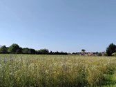 Namų statybai, parduodamas sklypas gražioje - nuotraukos Nr. 5