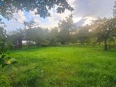 Parduodami du žemės sklypai ramioje vietoje - nuotraukos Nr. 4