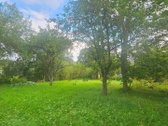 Parduodami du žemės sklypai ramioje vietoje - nuotraukos Nr. 7