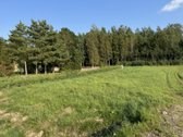 4 kilometrai nuo Kužių miestelio link
