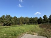 4 kilometrai nuo Kužių miestelio link - nuotraukos Nr. 2