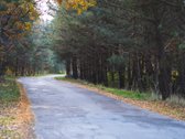 Parduodamas išskirtinis 119 kv. m kotedžas – - nuotraukos Nr. 18