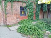 Nuomojamos patalpos Kauno centre,laisvės AL - nuotraukos Nr. 4