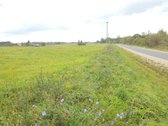 Sklypas 5,45ha, Inturkė, Dailidžių km., prie - nuotraukos Nr. 2