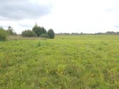 Sklypas 5,45ha, Inturkė, Dailidžių km., prie - nuotraukos Nr. 3