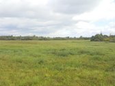 Sklypas 5,45ha, Inturkė, Dailidžių km., prie - nuotraukos Nr. 4