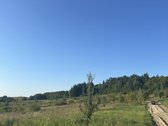 Parduodami 2 Ūkinės Paskirties Sklypai Prie - nuotraukos Nr. 12