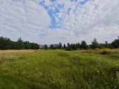 Parduodamas žemės ūkio paskirties sklypas - nuotraukos Nr. 2