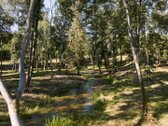 Parduodami Du Žemės Sklypai Išskirtinėje Vietoje  - nuotraukos Nr. 4