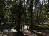 Parduodami Du Žemės Sklypai Išskirtinėje Vietoje  - nuotraukos Nr. 6