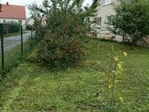 Namo bendras plotas 165kv.m, rusio plotas 64 - nuotraukos Nr. 6