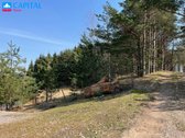 Parduodamas 113 Arų Namų Valdos Žemės Sklypas - nuotraukos Nr. 12