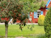 Rusnės Saloje Ant Vaizdingo Pakalnės Upės - nuotraukos Nr. 19