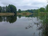Parduodamas žemes ūkio žemes sklypo plotas 8 - nuotraukos Nr. 2