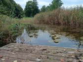 Parduodamas žemes ūkio žemes sklypo plotas 8 - nuotraukos Nr. 29
